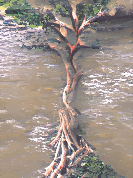 Abstraktní Strom Řeky — Stockový vektor