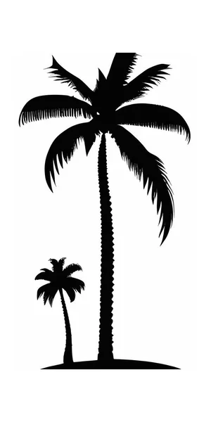 海滩上白色背景的高大和矮小棕榈树的轮廓 — 图库矢量图片