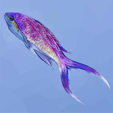 Suyun altında mor renkli bir balığın düşük polimerli bir çizimi