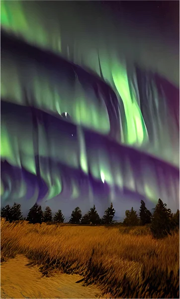 Die Leuchtenden Nordlichter Über Der Wiese Mit Kiefern — Stockvektor