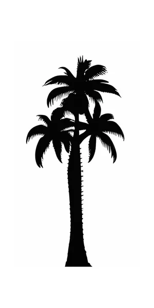 Een Verticaal Ontwerp Van Een Palmboom Zwart Geïsoleerd Witte Achtergrond — Stockvector