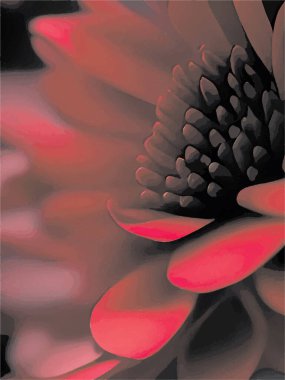 Farklı renklerde çiçekler birbirine dizilmiştir.