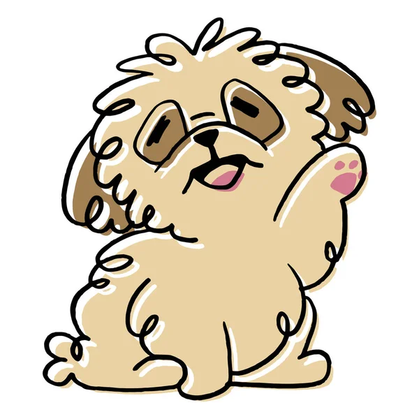 Beyaz arka planda şirin bir köpeğin yakın plan resmi.