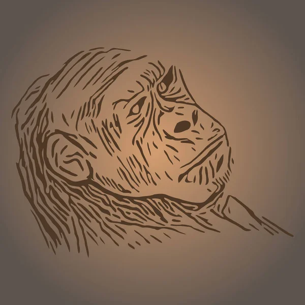 Bej Arka Planda Bir Maymunun Düzenlenebilir Kahverengi Portresi — Stok Vektör