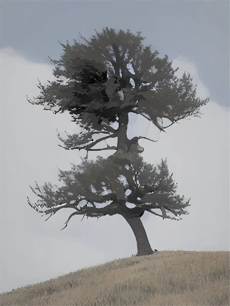 Träd Med Kulle Och Himmel — Stock vektor