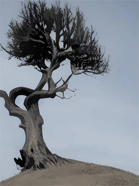 Δέντρο Λόφο Και Ουρανό — Διανυσματικό Αρχείο