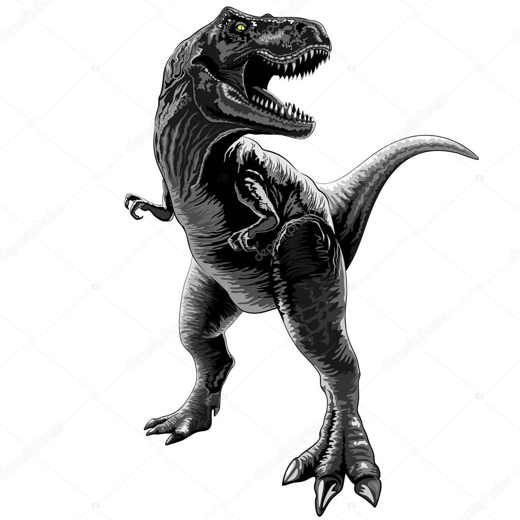 A standing and growling T-Rex figure isolated on a white background