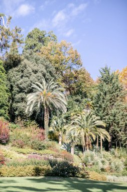 İtalya 'da, Como Gölü' ndeki Villa Carlotta 'daki güzel bir parkın dikey görüntüsü.
