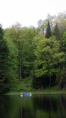 Ormanla çevrili bir nehirde kano süren bir adamın dikey görüntüsü.