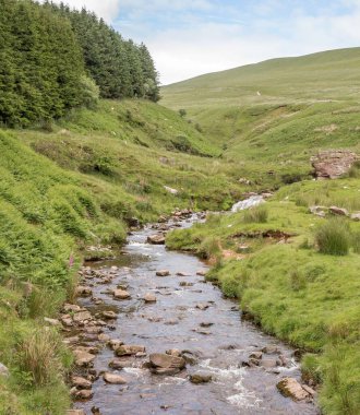 Galler 'deki Brecon Beacons Ulusal Parkı' nda küçük bir dere ve huzurlu yeşil tepeler.