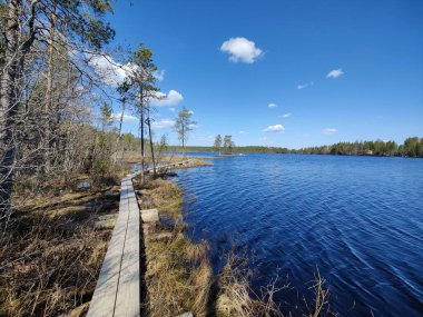 Mavi gökyüzünün altında doğal bir ahşap geçit, sakin bir göl ve orman manzarası.