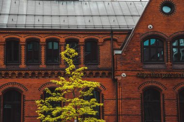 Hamburg, Almanya 'da bir yerleşim yerinin önündeki sarı yapraklı bir ağacın manzarası.
