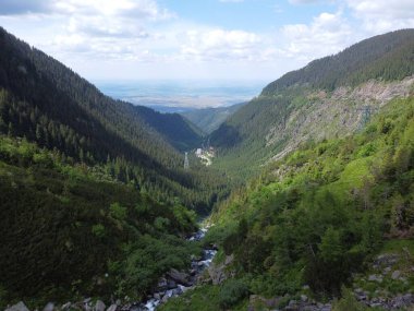 Dar bir deresi olan sık bir ormanlık vadinin havadan görünüşü.