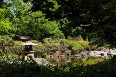Almanya 'nın Bonn kentindeki Rheinaue Park' taki Japon Bahçesi manzarası