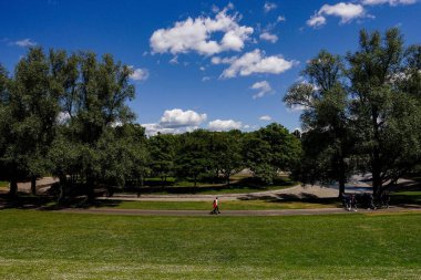 Almanya Bonn 'da güneşli bir günde Rheinaue Parkı' nda yürüyen insanlar