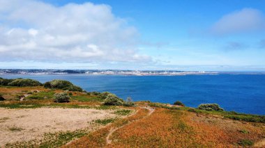 Güneşli bir günde kumsalın yanında parlak, kuru bir tarlanın güzel bir manzarası.