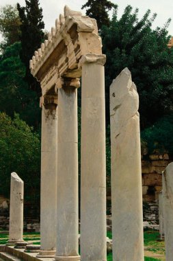 Antik Yunan sütununun kalıntıları yeşil ağaçların arka planına karşı