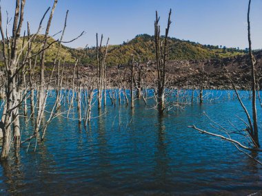Yeşil dağlara karşı yapraksız ağaçlarla çevrili mavi bir göl manzarası.