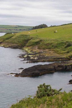 Göl kenarındaki manzaranın dikey görüntüsü.