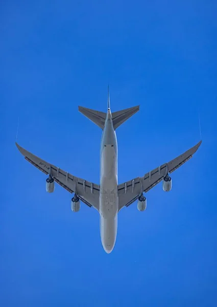 Angle Bas Vertical Avion Volant Contre Ciel Bleu Vif — Photo