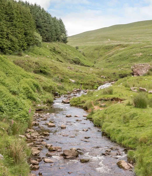 Pequeño Arroyo Tranquilas Colinas Verdes Parque Nacional Brecon Beacons Gales —  Fotos de Stock