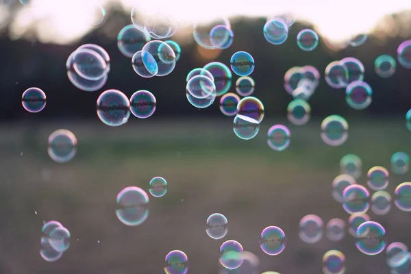 Detailní Záběr Mýdlové Bubliny Rozmazaném Pozadí — Stock fotografie