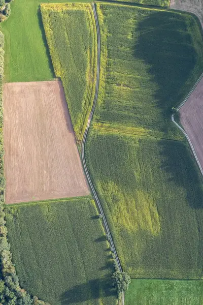 Una Vista Superior Camino Campo Entre Campos — Foto de Stock