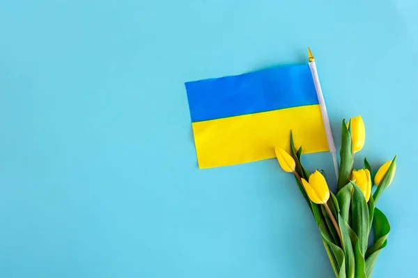 Пласка Композиція Жовтими Квітами Український Прапор — стокове фото