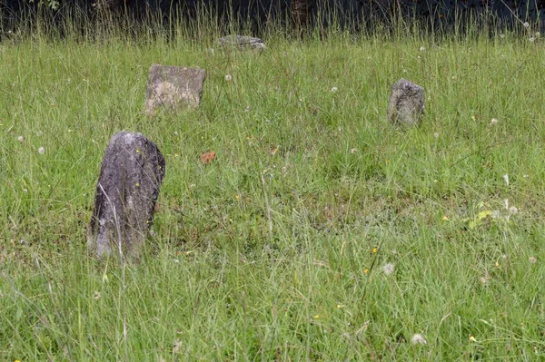 Lapidi Cimitero Ricoperto Vegetazione — Foto Stock