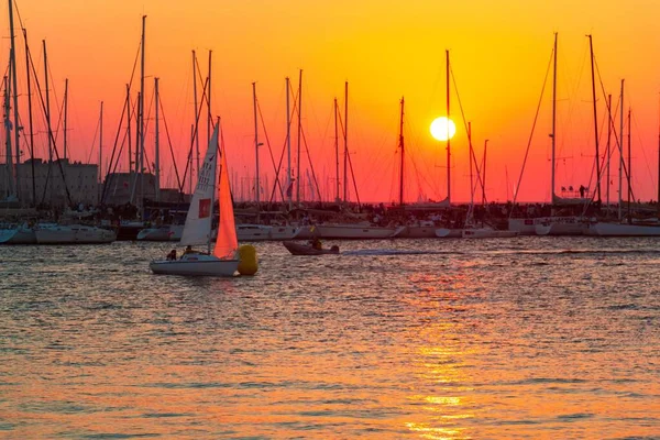 Gün Batımında Denizde Bir Sürü Tekne Barcolana Yarış Öncesi Trieste — Stok fotoğraf