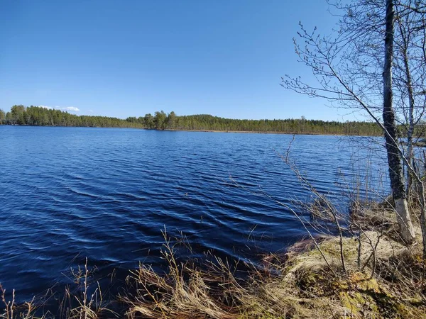 Přirozený Pohled Klidné Jezero Lesní Krajinu Pod Modrou Oblohou — Stock fotografie