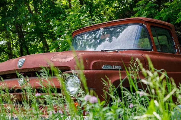 Ormandaki Bitkilerin Arasında Eski Bir Ford Kamyonunun Görüntüsü — Stok fotoğraf