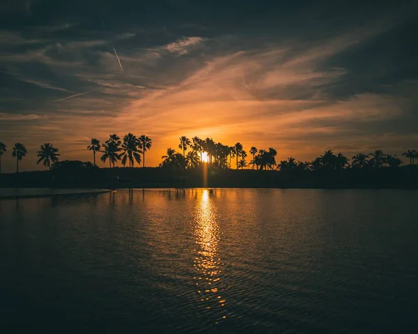 Eine Malerische Aufnahme Einer Meereslandschaft Mit Schönen Palmensilhouetten Während Des — Stockfoto