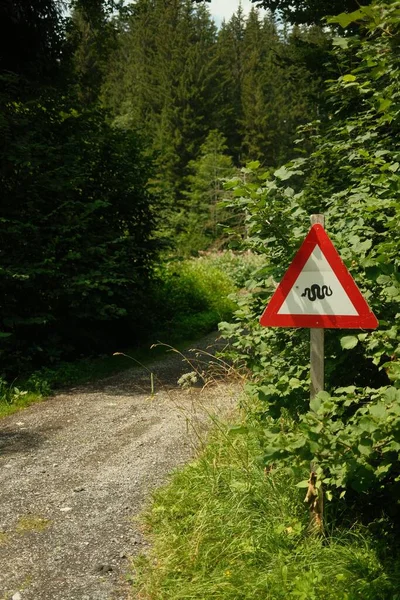 Disparo Vertical Signo Serpiente Advertencia Bosque Leogang Salzburgo Austria — Foto de Stock