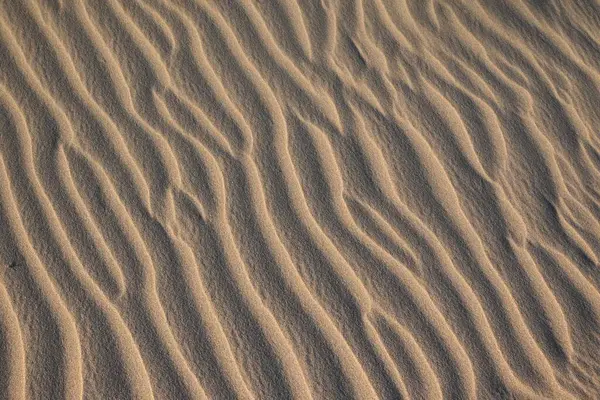 Windpatroon Zandduinen Arrakis Bij Zonsondergang — Stockfoto