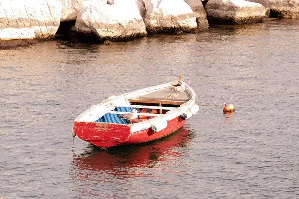 Scenic View Two Seagulls Perched Old Empty Boat Water Naples — Stock Photo, Image