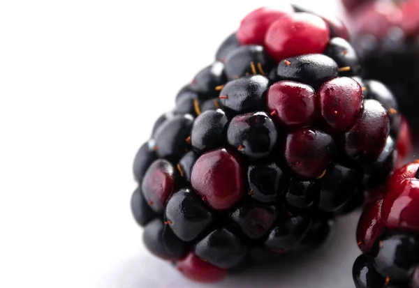 白色表面上的黑莓的宏图 — 图库照片