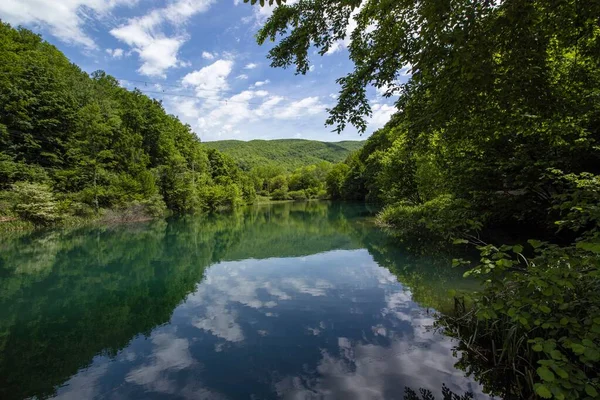 Reflektion Den Livfulla Gröna Skogen Sjön Reflektion Den Blå Himlen — Stockfoto