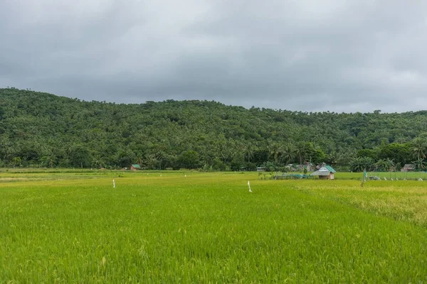 Paesaggio Panoramico Campo Una Giornata Nuvolosa Romblon Filippine — Foto Stock