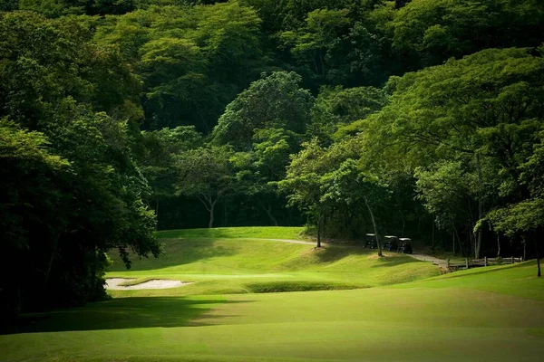 Ein Bewaldetes Golffairway Einem Tropischen Resort — Stockfoto