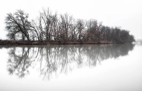 Uma Visão Matinal Rio Ohio Com Árvores Caducas Refletidas Superfície — Fotografia de Stock