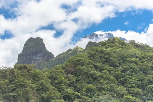 Moorea Polinésia Opunohu Belvedere Belo Panorama Das Montanhas — Fotografia de Stock