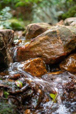 Arka planda bitki örtüsü olan büyük kayaların üzerinde akan suyun dikey yakın çekimi.