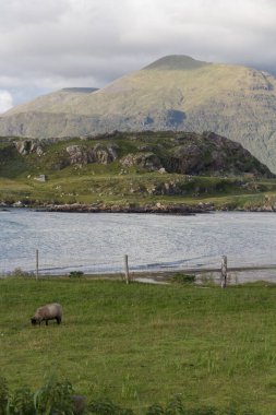 Vahşi İrlanda kıyılarının dikey çekimi