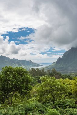 Moorea Polinezyası, Opunohu belvedere, güzellikler deniz, iki yuva ve dağ