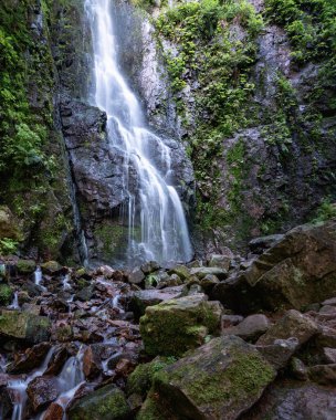 Yosunlu kayaların üzerindeki şelalenin dikey görüntüsü.