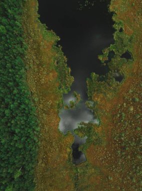 Güzel, yoğun bir ormanla çevrili bir göl manzarası, dikey bir çekim.