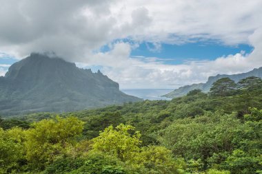 Moorea Polinezyası, Opunohu belvedere, güzellikler deniz, iki yuva ve dağ