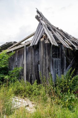 Yeşil bitki örtüsüyle çevrili eski bir ahşap kulübe..