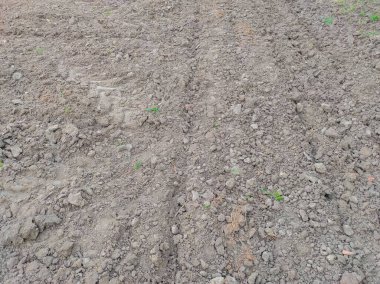 Doğanın Güzel Arkaplan Fotoğrafı